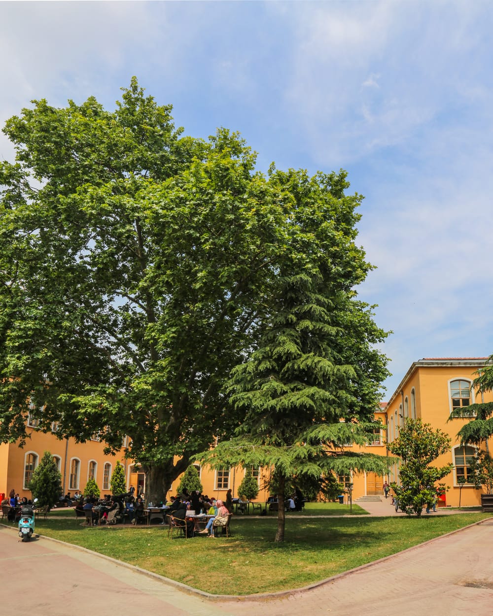 Kampüs